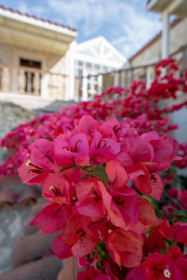 Nobela Hotel Алачати Екстер'єр фото